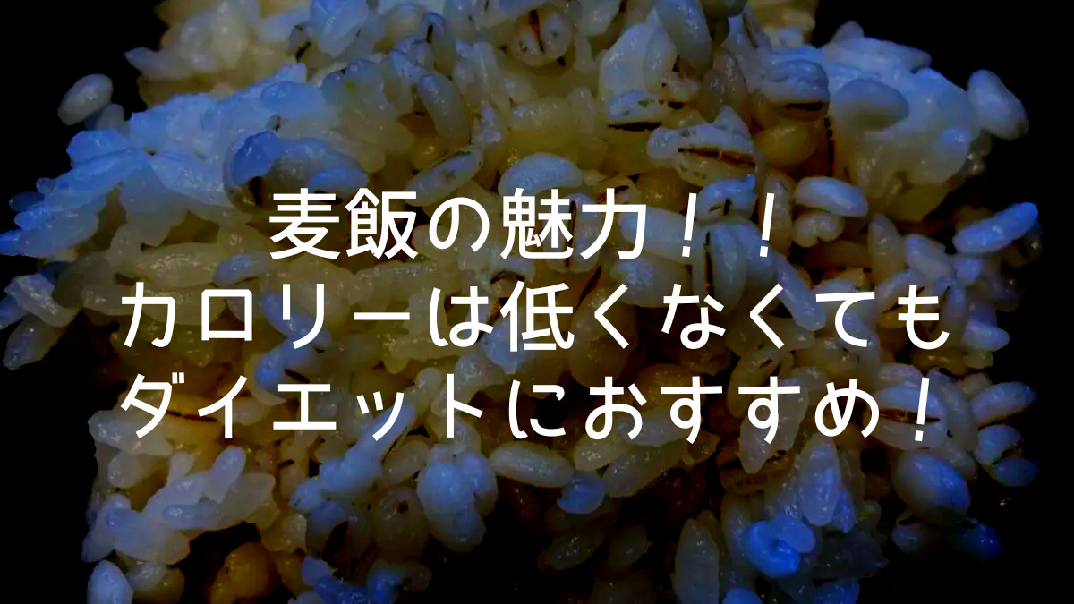 麦飯の魅力│カロリーは低くないけどダイエットにもおすすめ