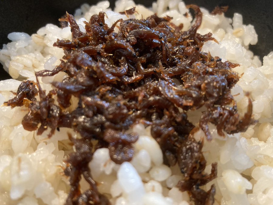 生あみ佃煮ともち麦ご飯